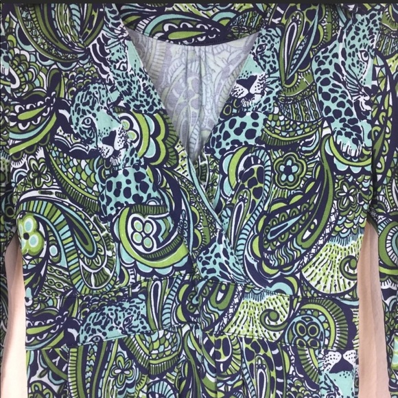 Lilly Pulitzer Blayney Master of the house dress - Picture 4 of 12